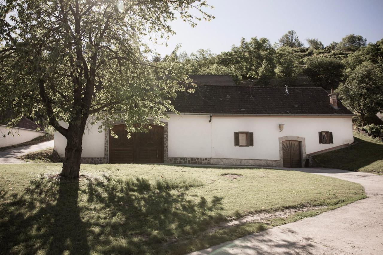 Ferienwohnung Am Weingut Eisenbock Strass  Exteriör bild