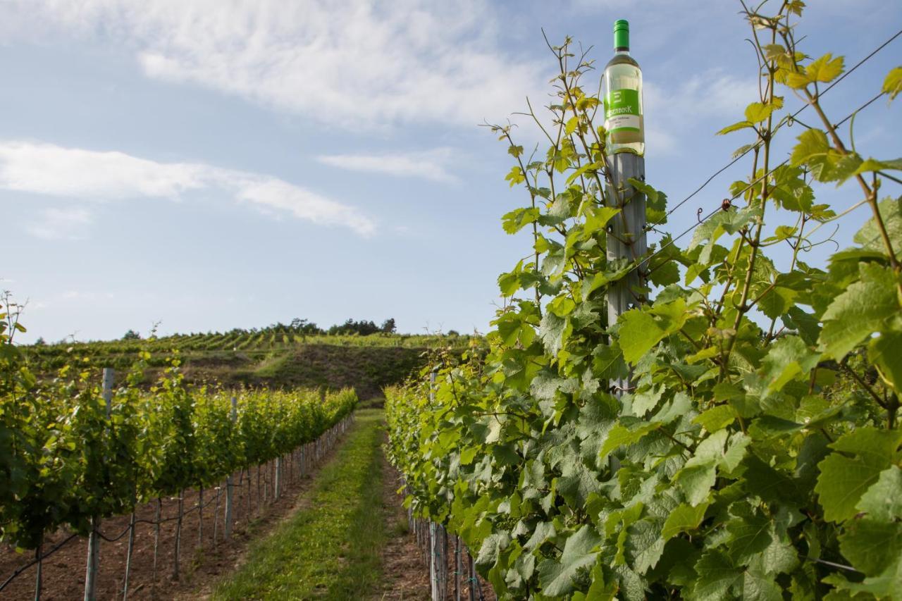 Ferienwohnung Am Weingut Eisenbock Strass  Exteriör bild