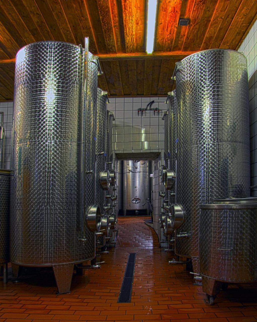 Ferienwohnung Am Weingut Eisenbock Strass  Exteriör bild